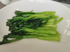 -食神鱼头佛跳墙(百子湾旗舰店)