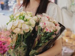 -溪岸路花鸟市场