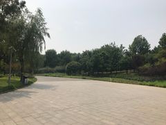 -望湖公园