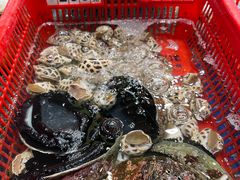 -抱德·潮汕味(琶洲店原惠城鱼仔)