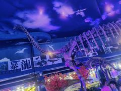 -诸城市恐龙博物馆