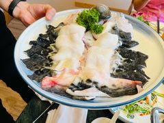 河豚皮-中苑海韵