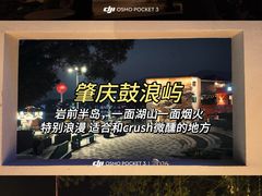 -鼎香皇高佬苏裹蒸粽