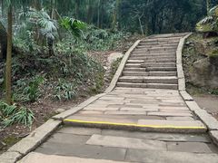 -青城山