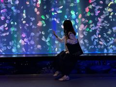 -海合安成都极地海洋公园