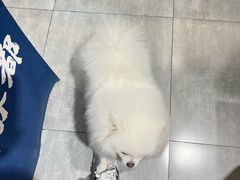 -重庆十八梯传统风貌区