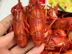 -老鄞江清水龙虾•赵赵家(江北店)