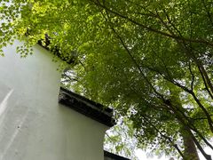 -上海醉白池公园