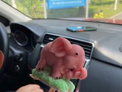 -秦皇岛野生动物园