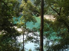 -广州市流溪河国家森林公园