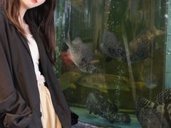 -新金盛·海鲜酒楼(盐田店)
