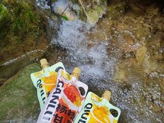-南海湾森林生态园