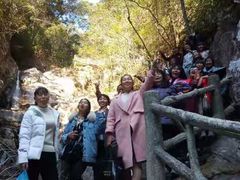 -九龙江国家森林公园