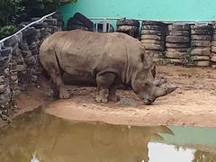 -西霞口神雕山野生动物世界