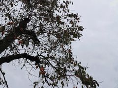 -丹山赤水风景名胜区