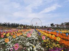 -成都浩海立方海洋公园