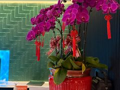 -绿波廊(豫园店)