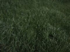 -沣峪森林公园龙潭戏水景区