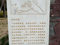 -莲花池公园