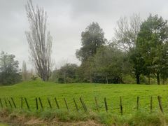 -怀托摩萤火虫洞