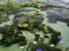 -南昌海洋公园
