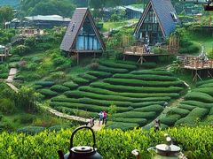 -莫干山风景区