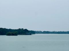 -贡湖湾湿地公园