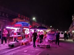 -中环花鸟鱼虫市场