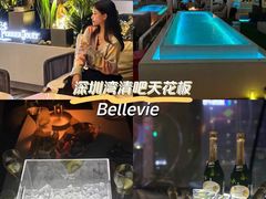-BelleVie深圳湾