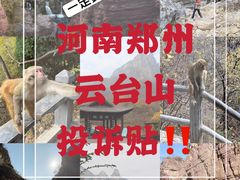 -云台山风景名胜区