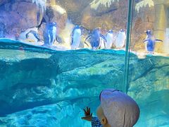 -波塞冬旅游度假区