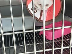 -乐宠动物医院