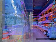 -青石桥花鸟鱼虫市场(叠翠城店)