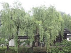 -盆景园(扬州大运河文化旅游度假区)