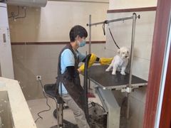 -艾贝尔宠物医院·24H转诊中心·肿瘤猫专科(江宁双龙店)