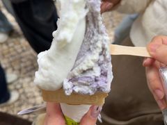 -柠檬车露(卖草地店)