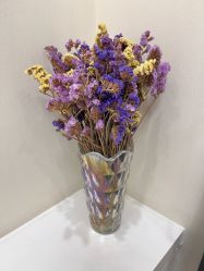 -Evigor医维格医美
