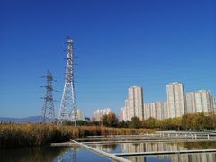 -永定河休闲森林公园