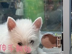 -FAELING PETS美天灵宠物(合生汇店)