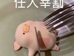 -苏梅花园(群星城店)