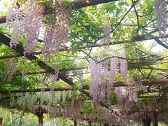 -尹兰楼西北风情餐厅(嘉定店)