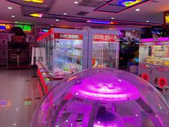 -探险阳光乐园(东区利和店)