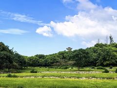 -杏花村文化旅游区