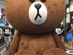 布朗熊-LINE FRIENDS Garosu-gil Flagship Store
