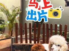 -上海大自然野生昆虫馆(东方明珠·爬宠昆虫探索中心)