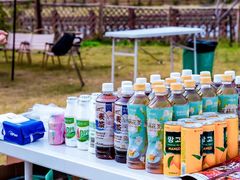 -栖露营camping·天幕烧烤·团建拓展·采摘营地