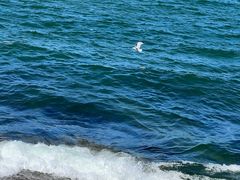 -威海国际海水浴场旅游区