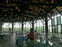 -The Ring Pavilion 魔幻森林