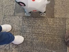 -西贝(南开大悦城店)