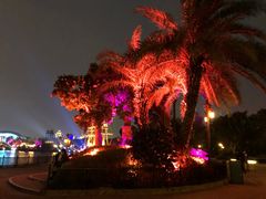 -珠海长隆海洋王国